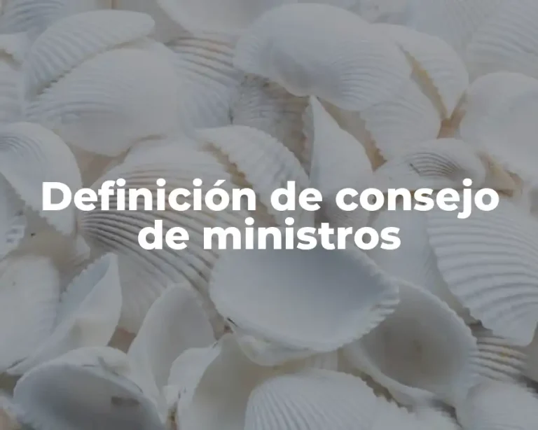 Definición de consejo de ministros
