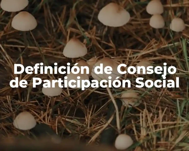 Definición de Consejo de Participación Social