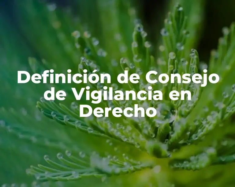 Definición de Consejo de Vigilancia en Derecho