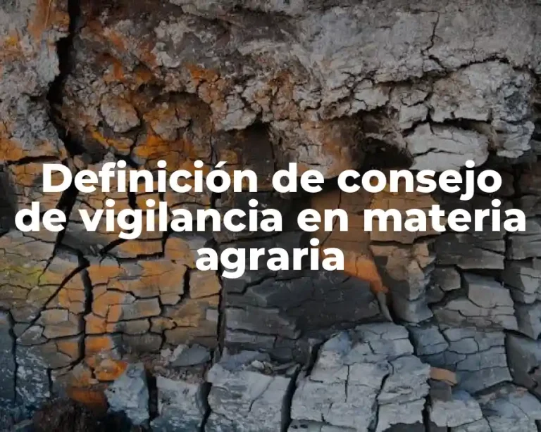 Definición de consejo de vigilancia en materia agraria