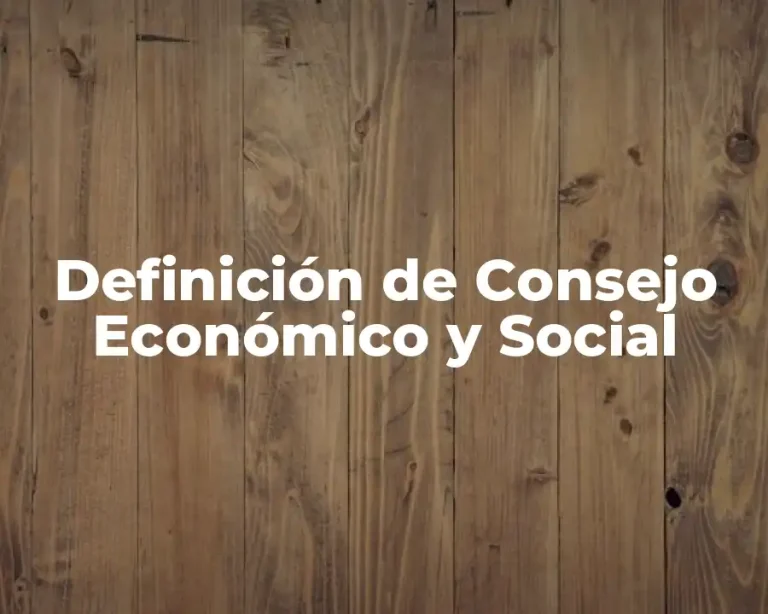 Definición de Consejo Económico y Social