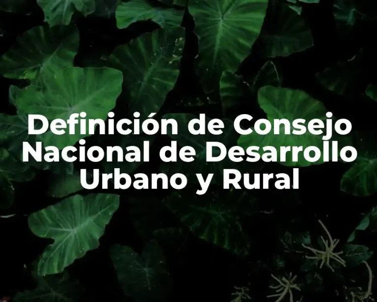Definición de Consejo Nacional de Desarrollo Urbano y Rural