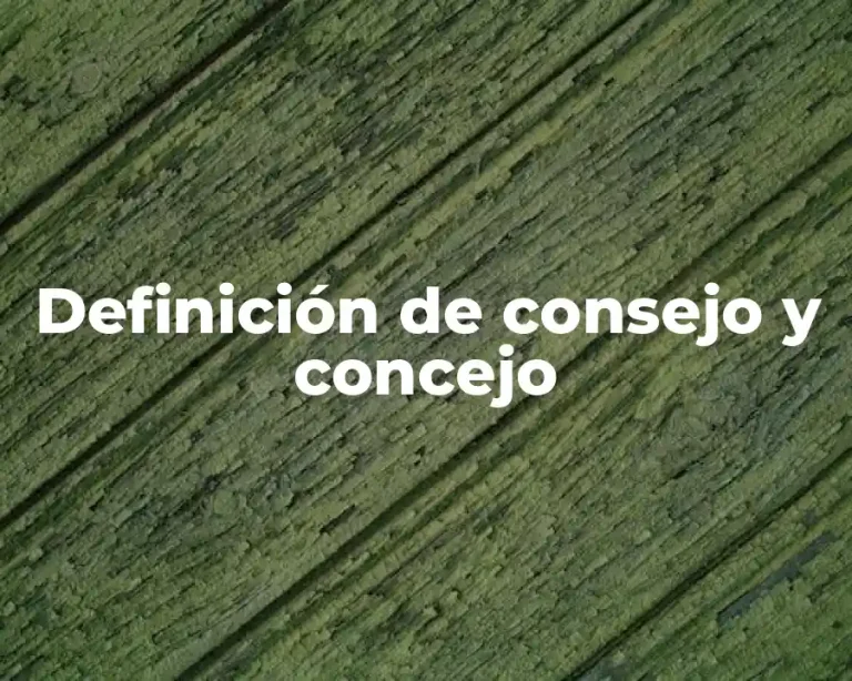 Definición de consejo y concejo
