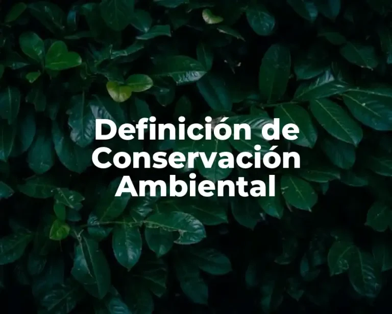 Definición de Conservación Ambiental
