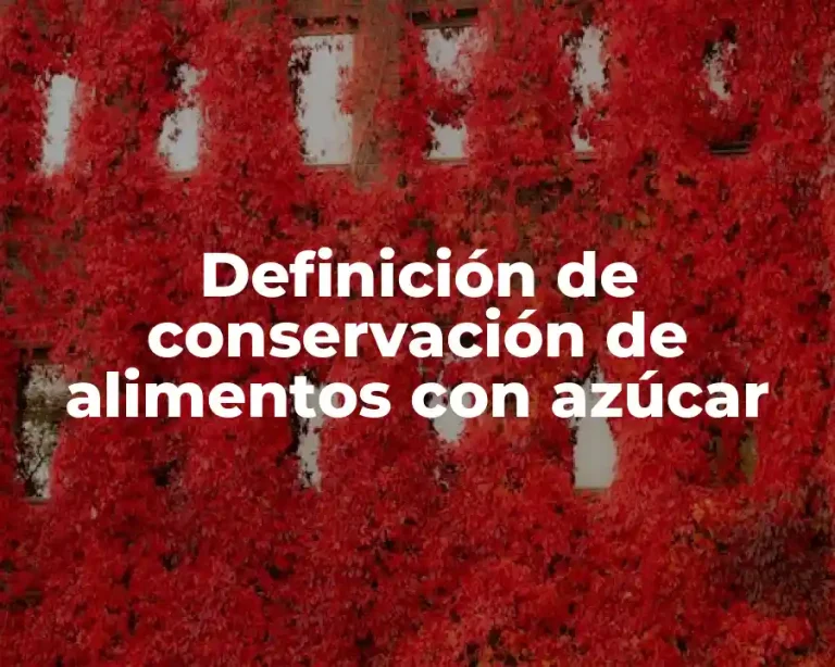 Definición de conservación de alimentos con azúcar