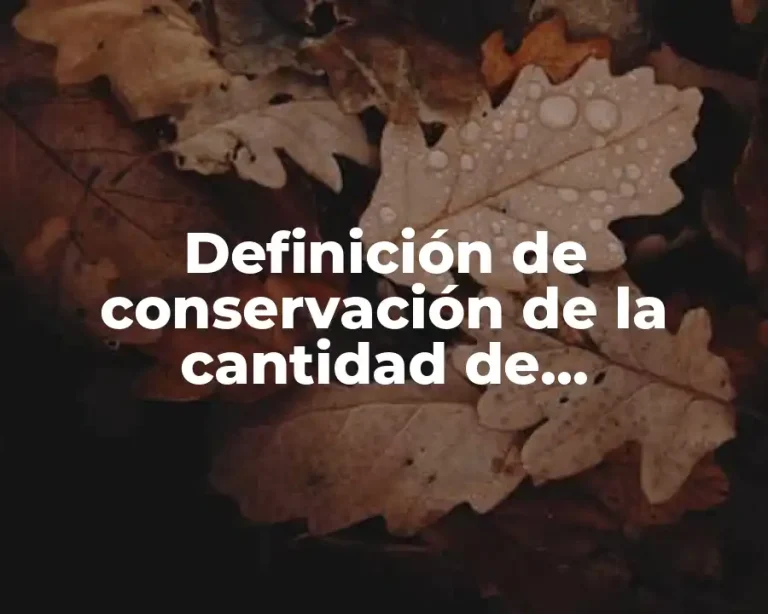 Definición de conservación de la cantidad de movimiento en física