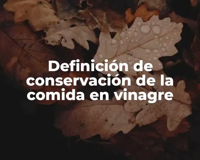 Definición de conservación de la comida en vinagre