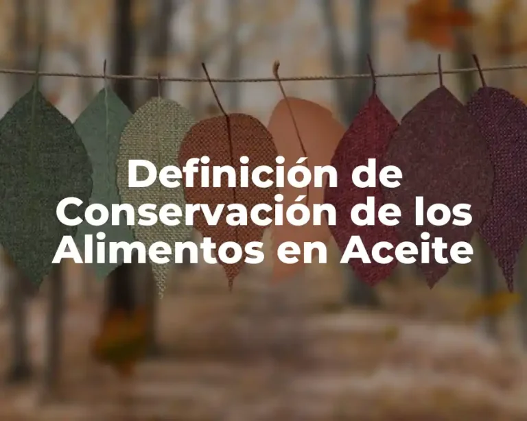 Definición de Conservación de los Alimentos en Aceite