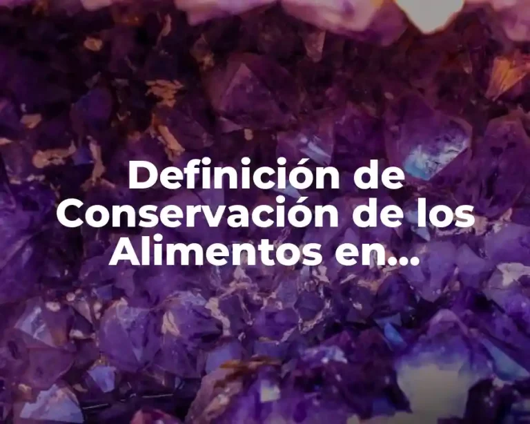 Definición de Conservación de los Alimentos en Congelación