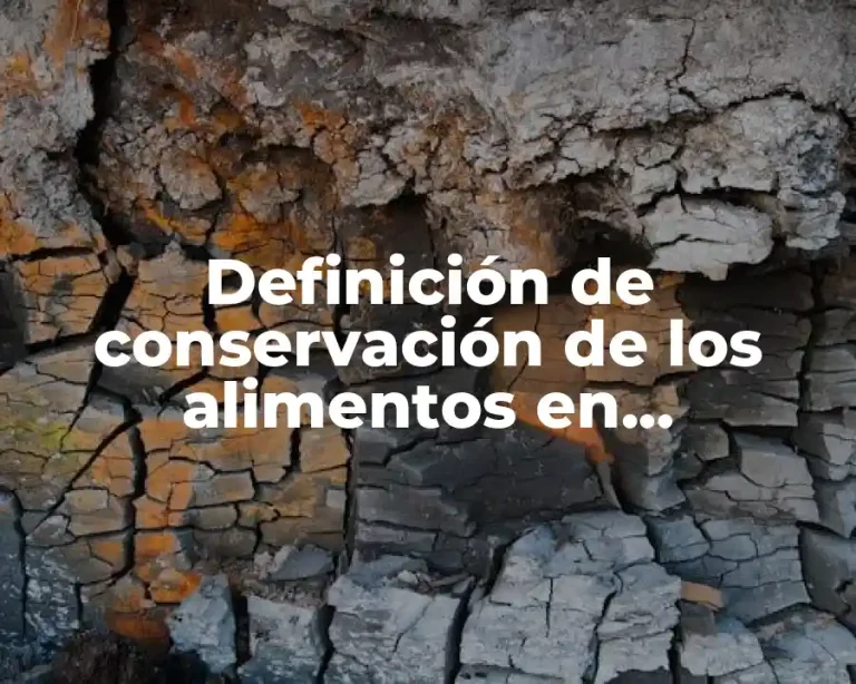 Definición de conservación de los alimentos en fermentación