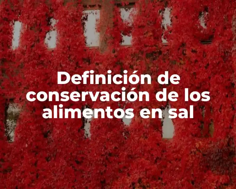 Definición de conservación de los alimentos en sal