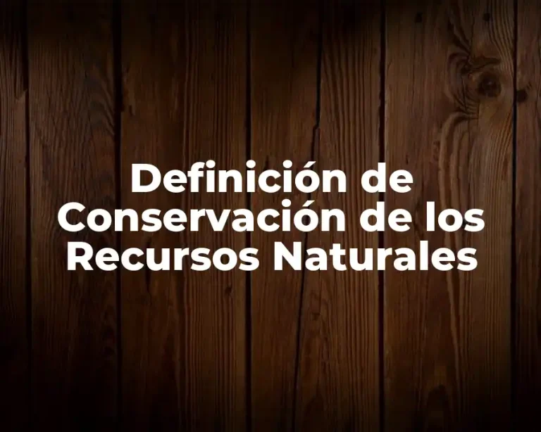 Definición de Conservación de los Recursos Naturales