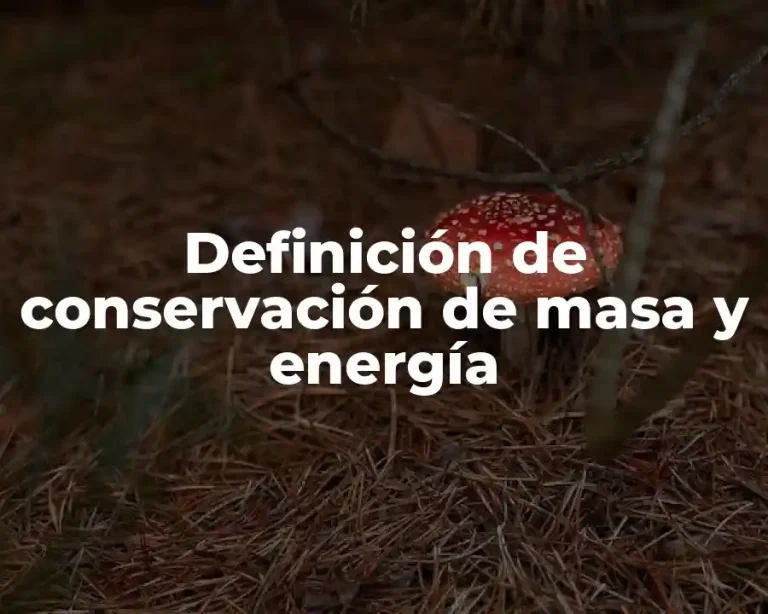Definición de conservación de masa y energía