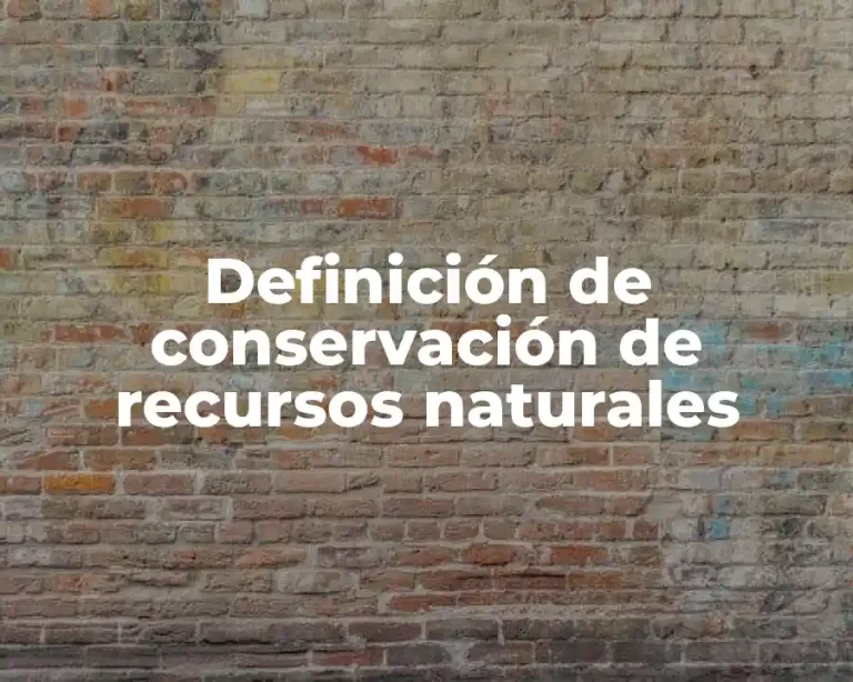Definición de conservación de recursos naturales