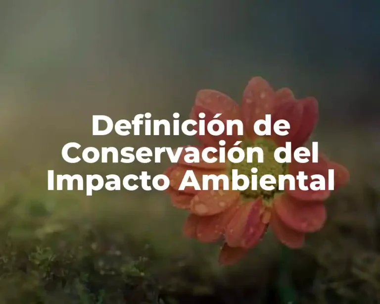 Definición de Conservación del Impacto Ambiental