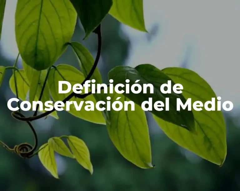 Definición de Conservación del Medio