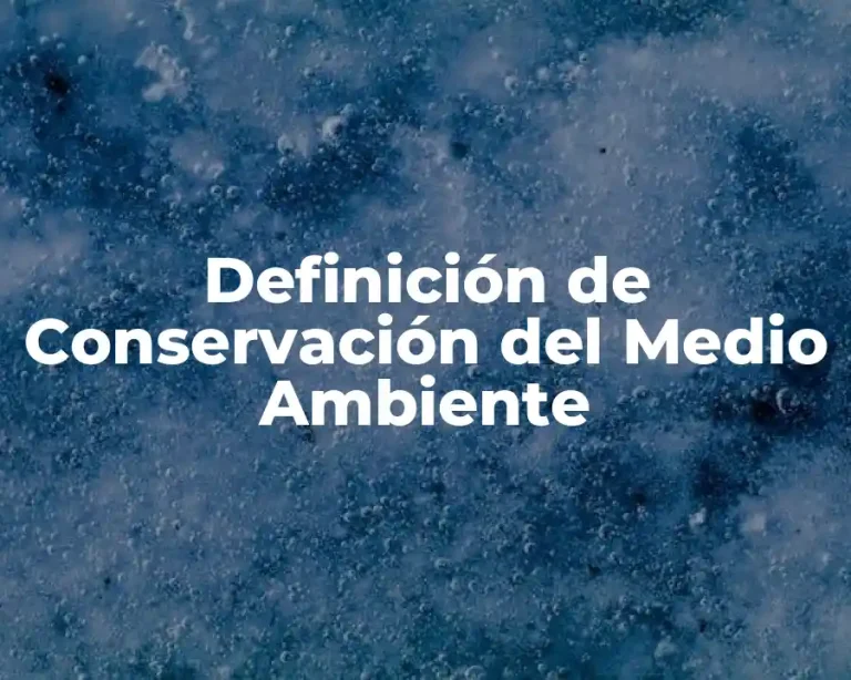 Definición de Conservación del Medio Ambiente