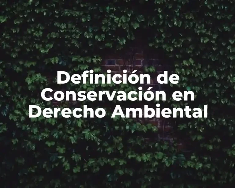 Definición de Conservación en Derecho Ambiental