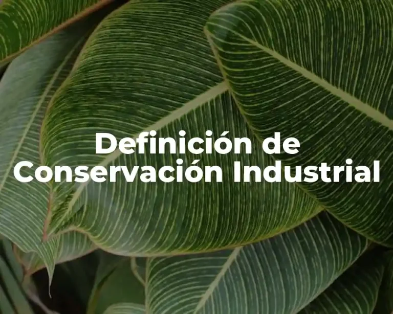 Definición de Conservación Industrial