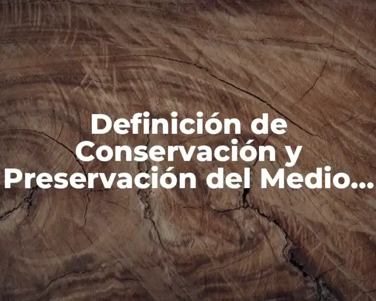 Definición de Conservación y Preservación del Medio Ambiente