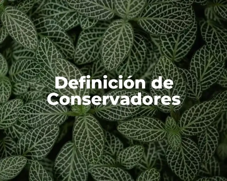 Definición de Conservadores
