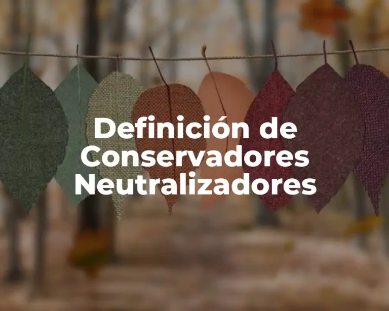 Definición de Conservadores Neutralizadores