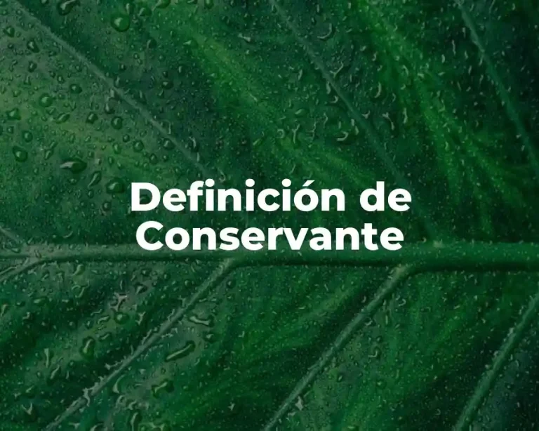 Definición de Conservante