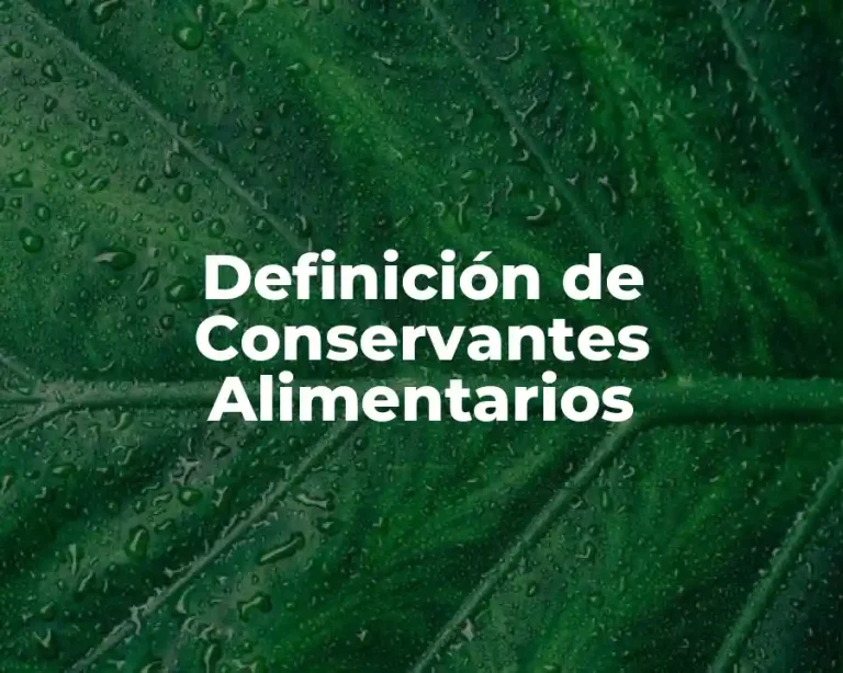 Definición de Conservantes Alimentarios