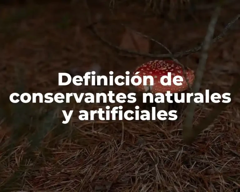 Definición de conservantes naturales y artificiales
