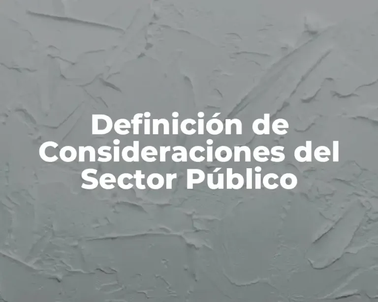 Definición de Consideraciones del Sector Público