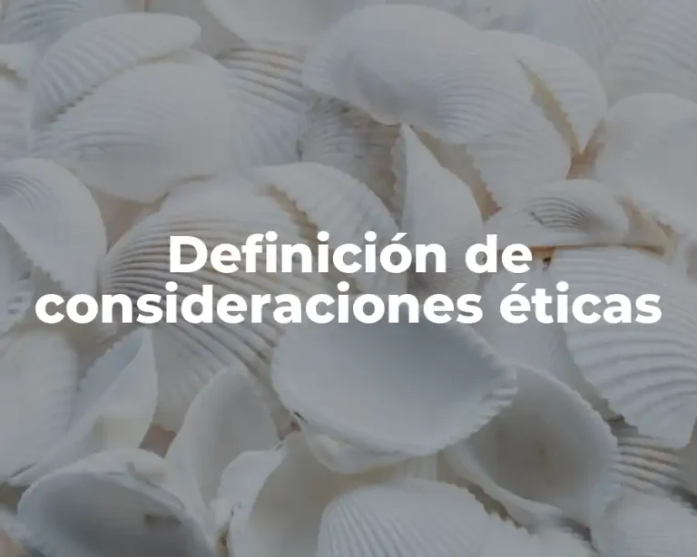 Definición de consideraciones éticas
