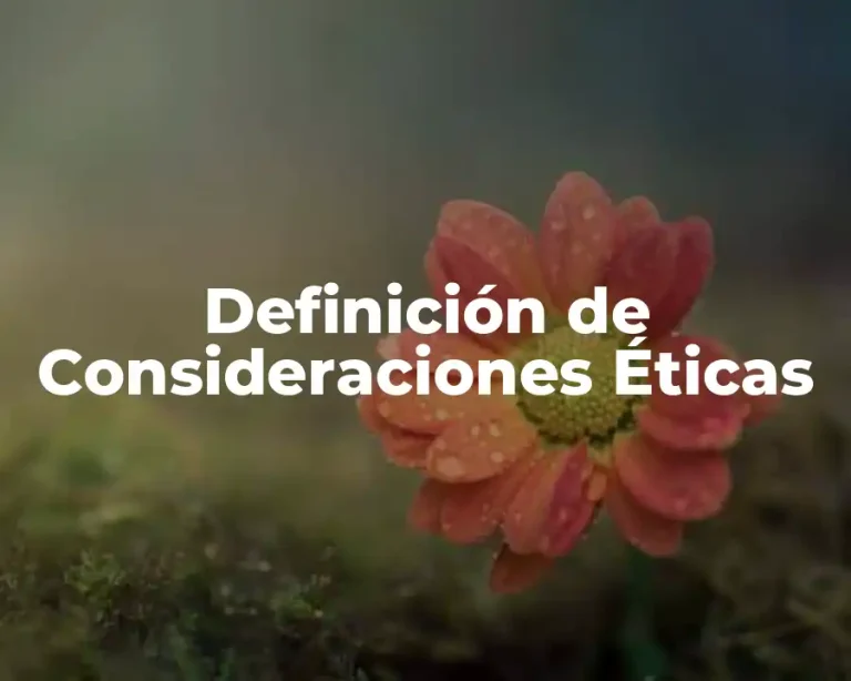 Definición de Consideraciones Éticas