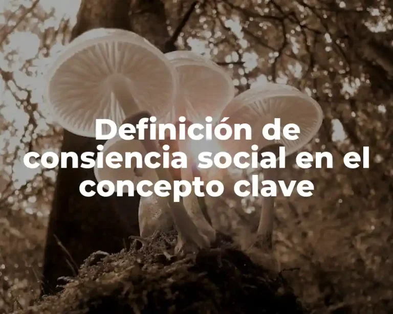 Definición de consiencia social en el concepto clave