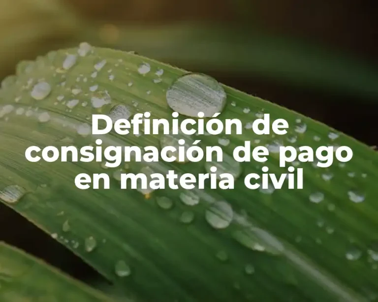 Definición de consignación de pago en materia civil