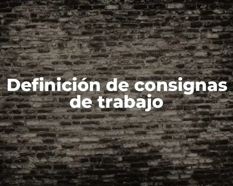 Definición de consignas de trabajo