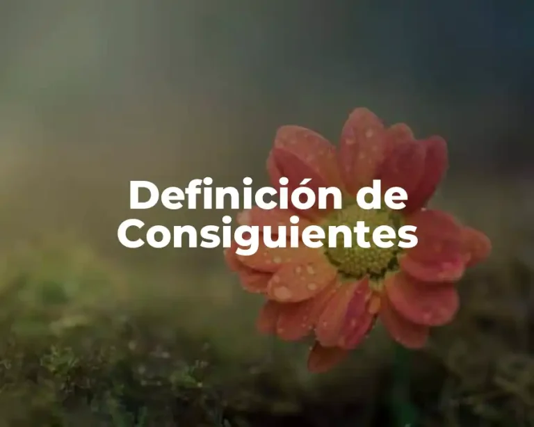 Definición de Consiguientes