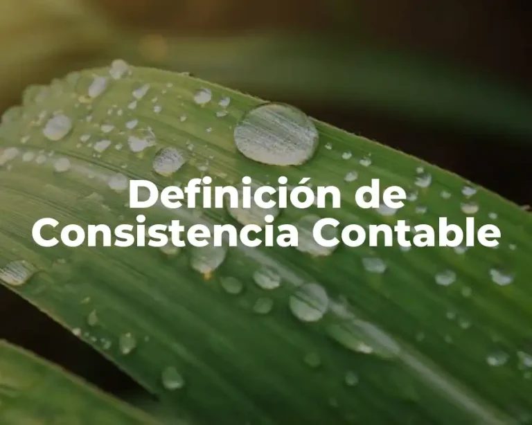 Definición de Consistencia Contable