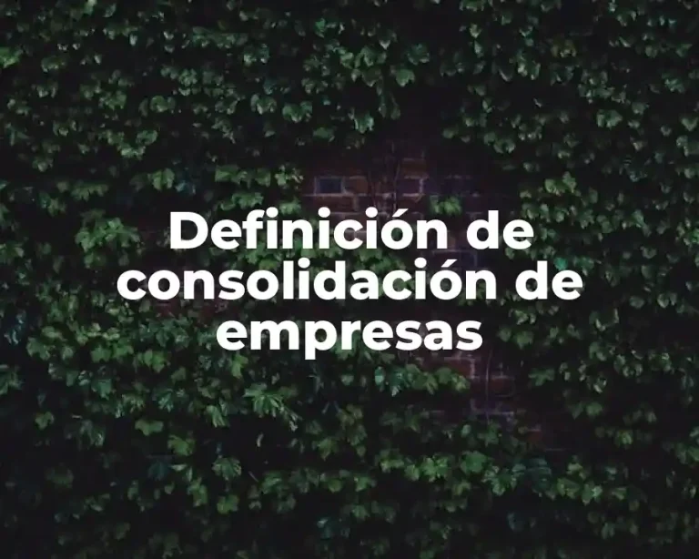 Definición de consolidación de empresas