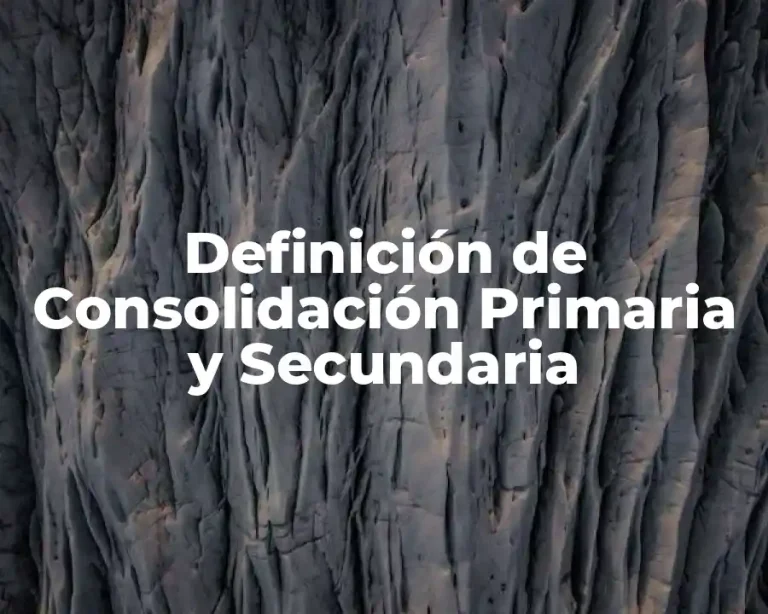 Definición de Consolidación Primaria y Secundaria