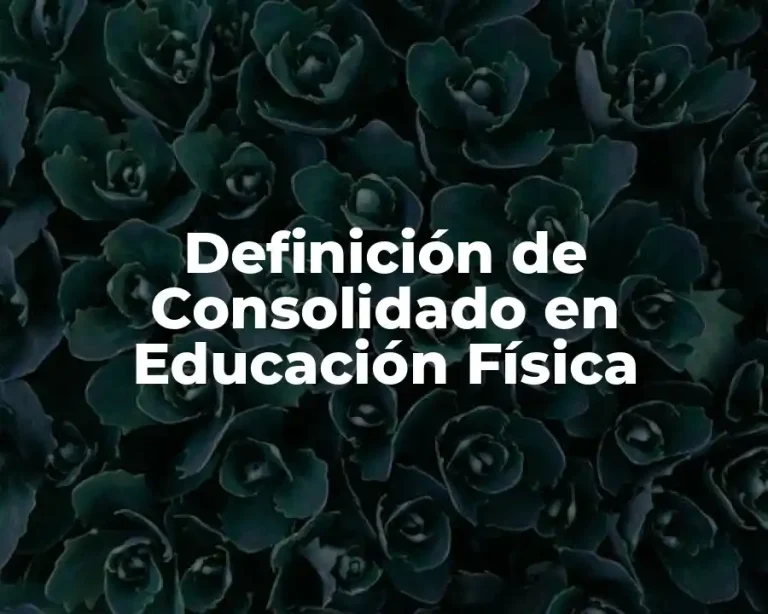 Definición de Consolidado en Educación Física