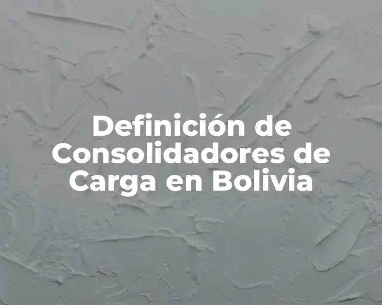 Definición de Consolidadores de Carga en Bolivia