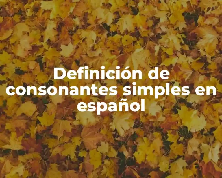 Definición de consonantes simples en español