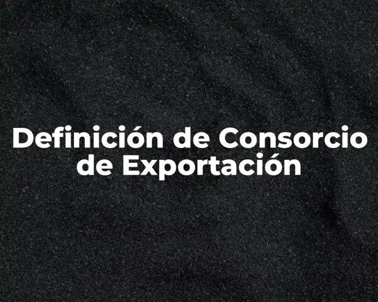 Definición de Consorcio de Exportación
