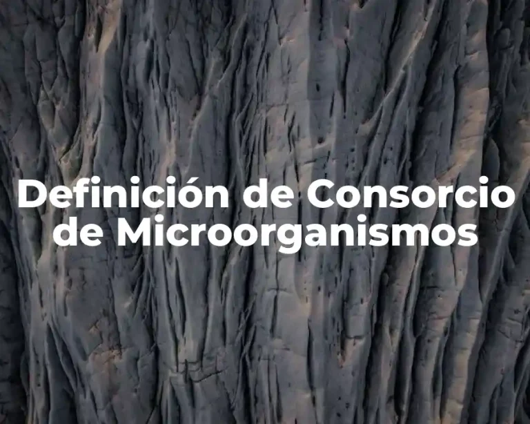 Definición de Consorcio de Microorganismos