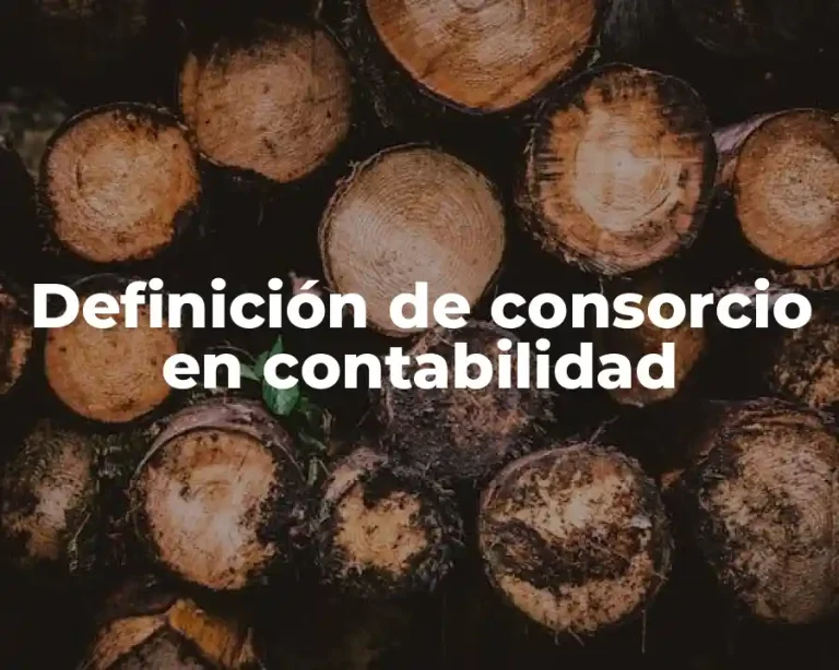 Definición de consorcio en contabilidad
