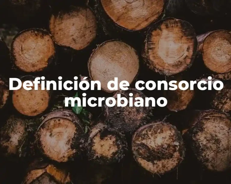 Definición de consorcio microbiano