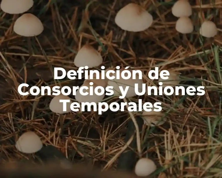 Definición de Consorcios y Uniones Temporales