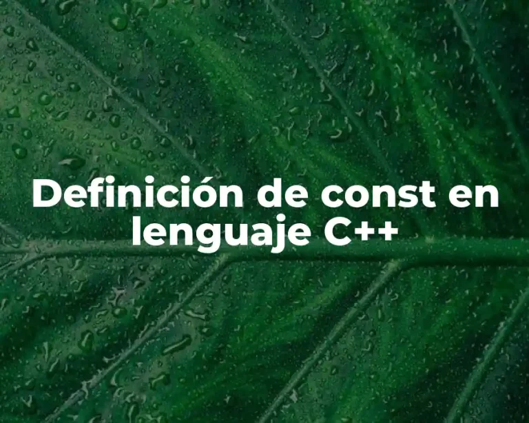 Definición de const en lenguaje C++