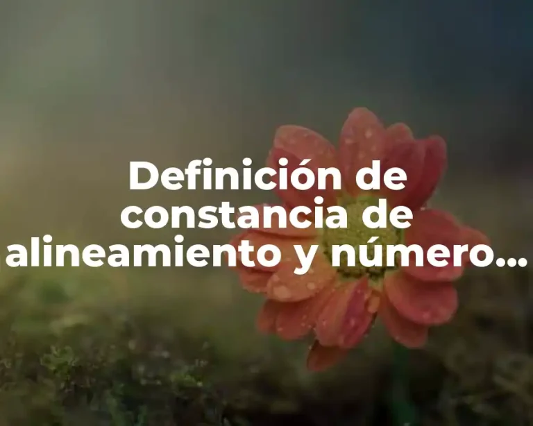 Definición de constancia de alineamiento y número oficial Puebla