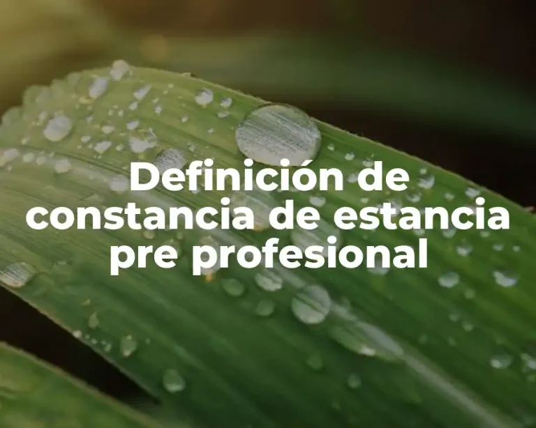 Definición de constancia de estancia pre profesional